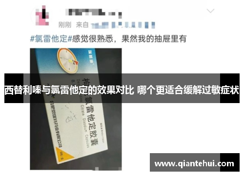 西替利嗪与氯雷他定的效果对比 哪个更适合缓解过敏症状